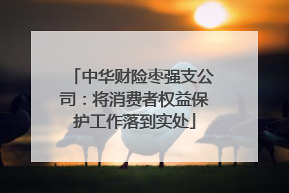 中华财险枣强支公司：将消费者权益保护工作落到实处