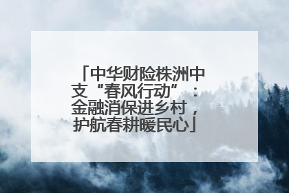中华财险株洲中支“春风行动”：金融消保进乡村，护航春耕暖民心