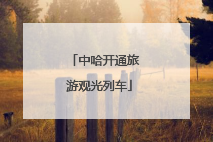 中哈开通旅游观光列车