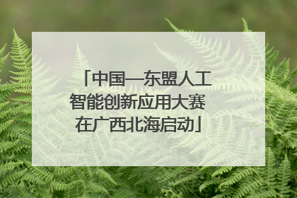 中国—东盟人工智能创新应用大赛在广西北海启动