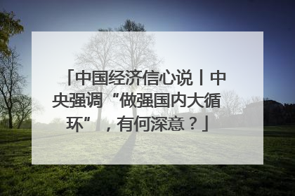 中国经济信心说丨中央强调“做强国内大循环”，有何深意？