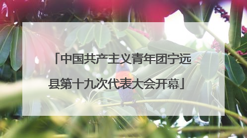 中国共产主义青年团宁远县第十九次代表大会开幕