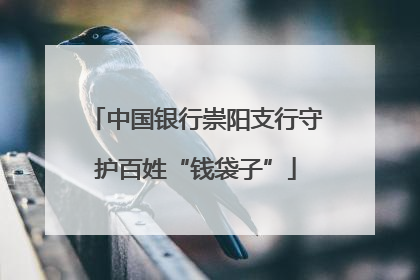 中国银行崇阳支行守护百姓“钱袋子”