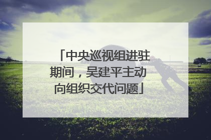 中央巡视组进驻期间，吴建平主动向组织交代问题