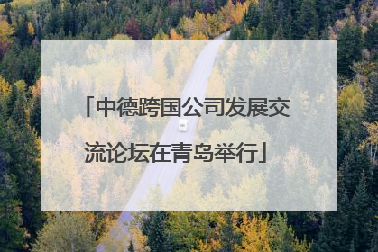 中德跨国公司发展交流论坛在青岛举行