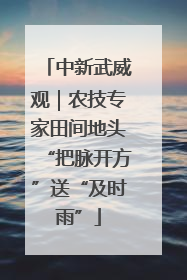 中新武威观｜农技专家田间地头“把脉开方”送“及时雨”