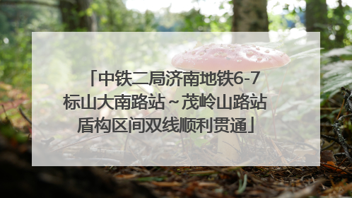 中铁二局济南地铁6-7标山大南路站～茂岭山路站盾构区间双线顺利贯通