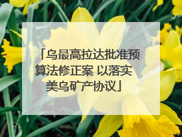 乌最高拉达批准预算法修正案 以落实美乌矿产协议