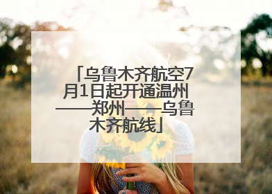 乌鲁木齐航空7月1日起开通温州——郑州——乌鲁木齐航线
