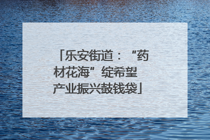 乐安街道：“药材花海”绽希望 产业振兴鼓钱袋