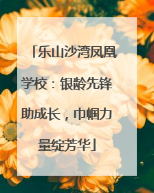 乐山沙湾凤凰学校：银龄先锋助成长，巾帼力量绽芳华