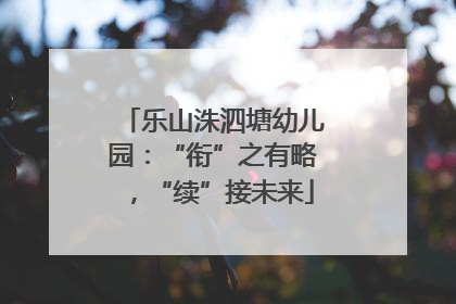 乐山洙泗塘幼儿园：“衔”之有略，“续”接未来