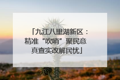九江八里湖新区：精准“吹哨”聚民意 真查实改解民忧