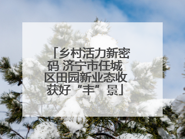 乡村活力新密码 济宁市任城区田园新业态收获好“丰”景
