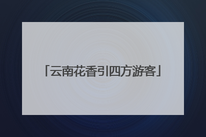 云南花香引四方游客