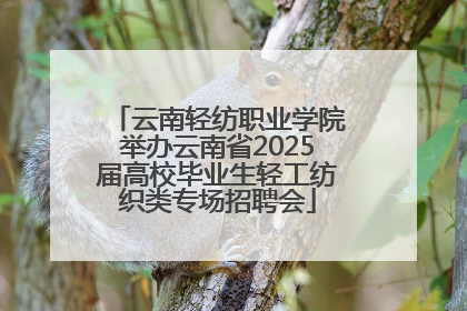 云南轻纺职业学院举办云南省2025届高校毕业生轻工纺织类专场招聘会