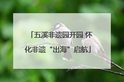 五溪非遗园开园 怀化非遗“出海”启航