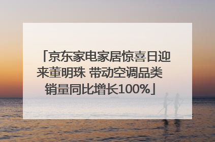 京东家电家居惊喜日迎来董明珠 带动空调品类销量同比增长100%