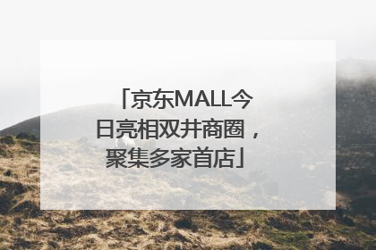 京东MALL今日亮相双井商圈，聚集多家首店
