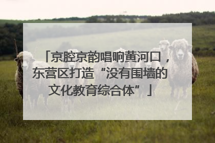 京腔京韵唱响黄河口，东营区打造“没有围墙的文化教育综合体”