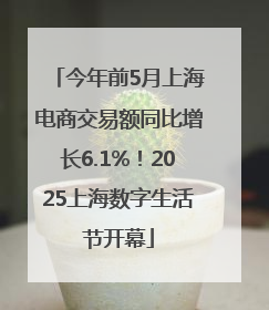 今年前5月上海电商交易额同比增长6.1%！2025上海数字生活节开幕
