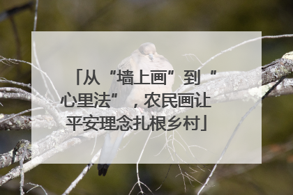 从“墙上画”到“心里法”，农民画让平安理念扎根乡村