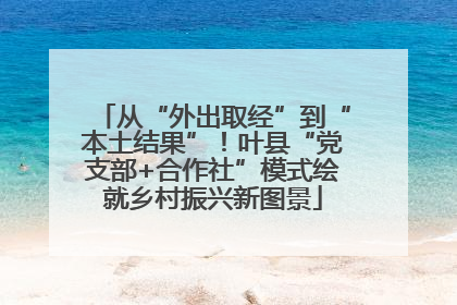从“外出取经”到“本土结果”！叶县“党支部+合作社”模式绘就乡村振兴新图景