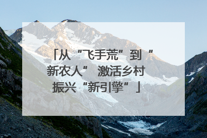 从“飞手荒”到“新农人” 激活乡村振兴“新引擎”