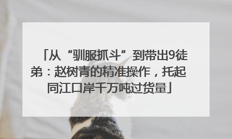 从“驯服抓斗”到带出9徒弟：赵树青的精准操作，托起同江口岸千万吨过货量