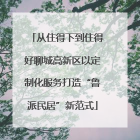 从住得下到住得好聊城高新区以定制化服务打造“鲁派民居”新范式