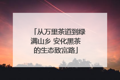 从万里茶道到绿满山乡 安化黑茶的生态致富路