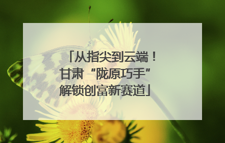 从指尖到云端！甘肃“陇原巧手”解锁创富新赛道