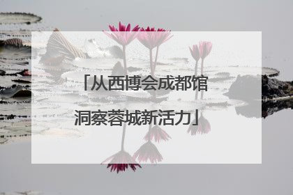 从西博会成都馆洞察蓉城新活力