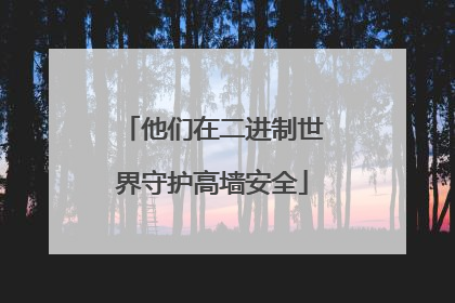 他们在二进制世界守护高墙安全