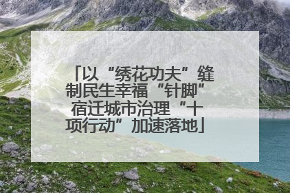 以“绣花功夫”缝制民生幸福“针脚” 宿迁城市治理“十项行动”加速落地