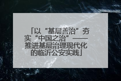 以“基层善治”夯实“中国之治”——推进基层治理现代化的临沂公安实践