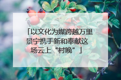 以文化为媒跨越万里 景宁携手新和奉献这场云上“村晚”