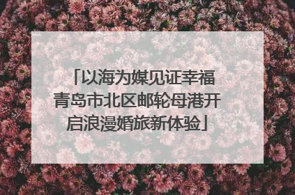 以海为媒见证幸福 青岛市北区邮轮母港开启浪漫婚旅新体验