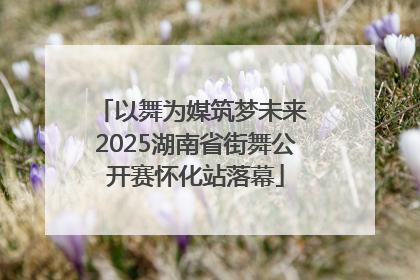 以舞为媒筑梦未来 2025湖南省街舞公开赛怀化站落幕