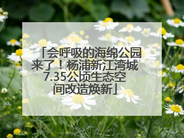 会呼吸的海绵公园来了！杨浦新江湾城7.35公顷生态空间改造焕新