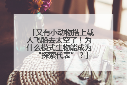 又有小动物搭上载人飞船去太空了！为什么模式生物能成为“探索代表”？