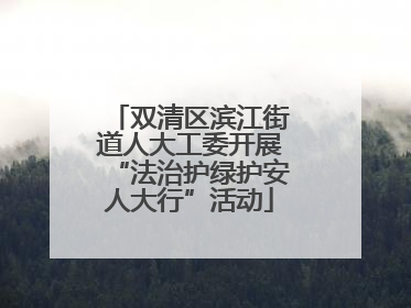 双清区滨江街道人大工委开展“法治护绿护安人大行”活动