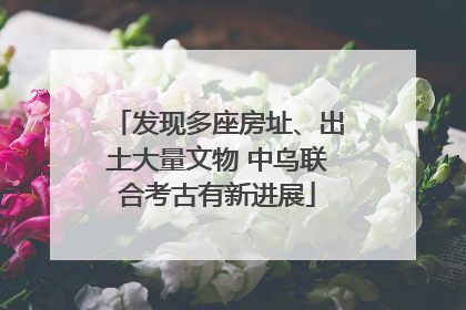 发现多座房址、出土大量文物 中乌联合考古有新进展