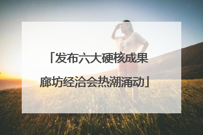 发布六大硬核成果 廊坊经洽会热潮涌动