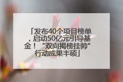 发布40个项目榜单，启动50亿元引导基金！“双向揭榜挂帅”行动成果丰硕