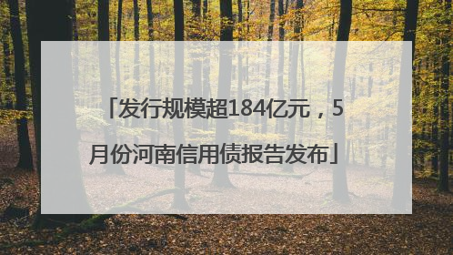 发行规模超184亿元，5月份河南信用债报告发布