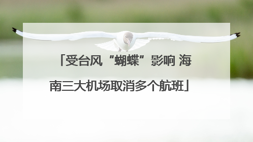 受台风“蝴蝶”影响 海南三大机场取消多个航班