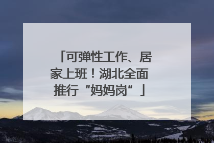 可弹性工作、居家上班！湖北全面推行“妈妈岗”