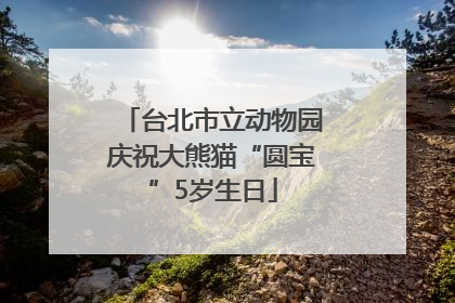 台北市立动物园庆祝大熊猫“圆宝”5岁生日