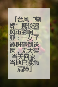 台风“蝴蝶”携较强风雨影响三亚：一女子被树砸倒送医，无大碍当天回家 当地已紧急清障